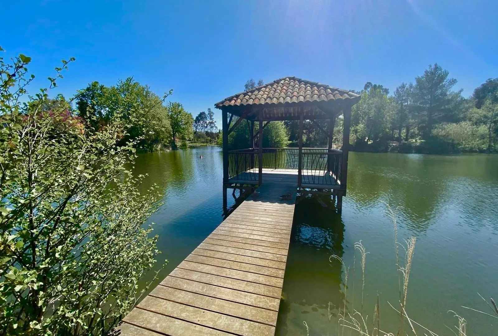Les Restanques Maison 2 Pins 3 Chambres Grimaud Francja